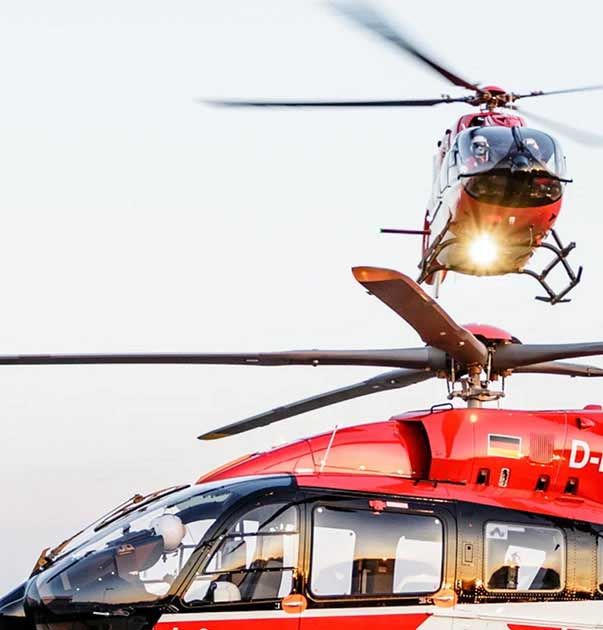 MS Dynamics Implementation & Shared Service